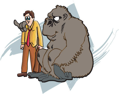 gorilla